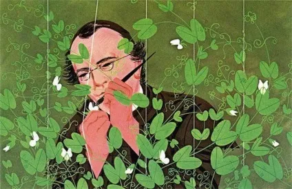 Грегор Мендель - основоположник генетики (основоположник) Грегор Мендель - основоположник генетики