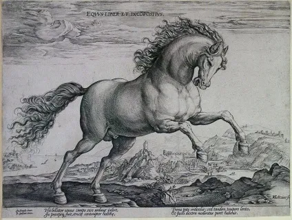 Гравюри хендрика Гольциуса, нідерландський художник (гравюри) Гравюри хендрика Гольциуса, нідерландський художник