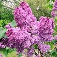 Інсульт, як відновитися після інсульту в домашніх умовах
