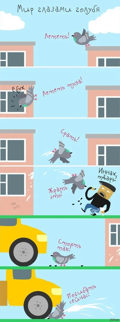 Цікаве про голубів
