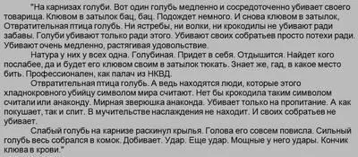 Цікаве про голубів