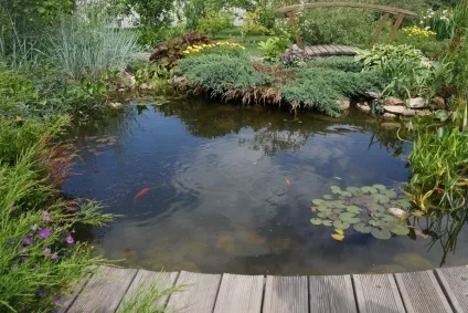 Штучна водойма на ділянці - про ремонт (водойму) Штучна водойма на ділянці - про ремонт