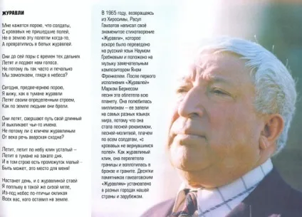 Історія легендарної пісні - журавлі (історія) Історія легендарної пісні - журавлі