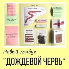 Вивчаємо дощового черв'яка