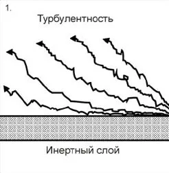 Як швидко плавають дельфіни