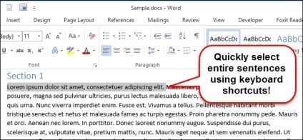 Як швидко виділити ціле речення в word 2013 (виділити) Як швидко виділити ціле речення в word 2013