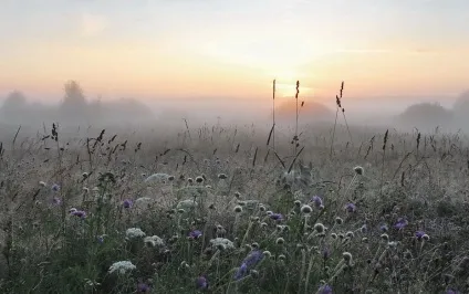 Як швидко настали холоди