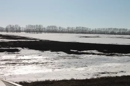 Яка весна краще рання або пізня (краще) Яка весна краще рання або пізня