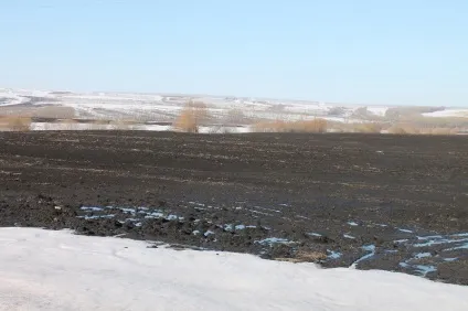 Яка весна краще рання або пізня (весна) Яка весна краще рання або пізня
