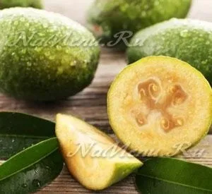 Як є фейхоа з шкіркою або без (як) Як є фейхоа з шкіркою або без