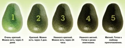 Як є авокадо правильно, як його їдять (авокадо) Як є авокадо правильно, як його їдять