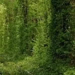 Як фотографувати захід і світанок (світанок) Як фотографувати захід і світанок