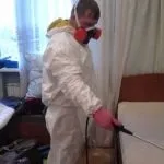 Якими хворобами можна заразитися від мишей (заразитися) Якими хворобами можна заразитися від мишей