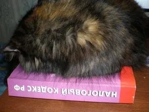 Які податки сплачуються при вступі в спадщину (вступ) Які податки сплачуються при вступі у спадок