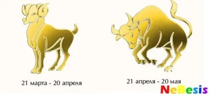 Які жінки подобаються чоловікам тільцям (тільцям) Які жінки подобаються чоловікам тільцям
