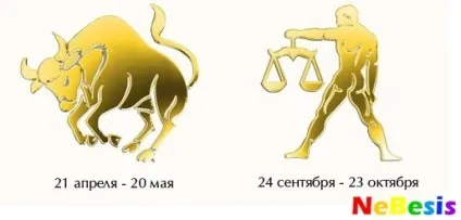 Які жінки подобаються чоловікам тільцям (жінки) Які жінки подобаються чоловікам тільцям