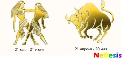 Які жінки подобаються чоловікам тільцям (тільцям) Які жінки подобаються чоловікам тільцям
