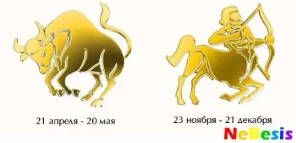 Які жінки подобаються чоловікам тільцям (які) Які жінки подобаються чоловікам тільцям
