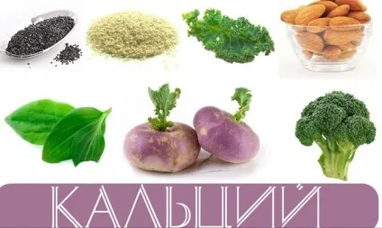 Які продукти багаті кальцієм (які) Які продукти багаті кальцієм