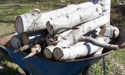 Якими дровами краще топити піч взимку і яка є альтернатива (краще) Якими дровами краще топити піч взимку і яка є альтернатива