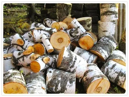 Які дрова для лазні краще (дрова) Які дрова для лазні краще