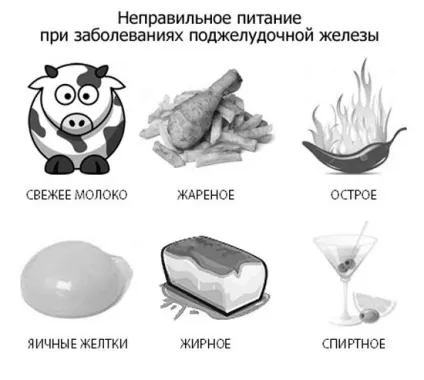 Які продукти корисні для печінки і підшлункової залози рекомендують їсти гастроентерологи, (які) Які продукти корисні для печінки і підшлункової залози рекомендують їсти гастроентерологи,