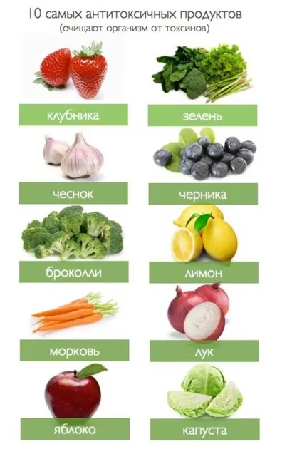 Які продукти корисні для печінки і підшлункової залози рекомендують їсти гастроентерологи, (печінки) Які продукти корисні для печінки і підшлункової залози рекомендують їсти гастроентерологи,