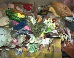 Як позбутися від тарганів швидко і назавжди, уникнувши повторного навали (швидко) Як позбутися від тарганів швидко і назавжди, уникнувши повторного навали
