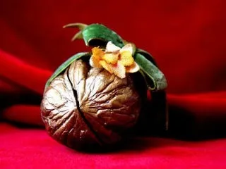 Як виготовити своїми руками грошовий амулет і талісман, екстрасенси (виготовити) Як виготовити своїми руками грошовий амулет і талісман, екстрасенси