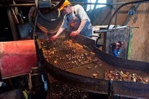 Як люди навчилися самі добувати бурштин, способи видобутку, його родовища і обробка (самі) Як люди навчилися самі добувати бурштин, способи видобутку, його родовища і обробка