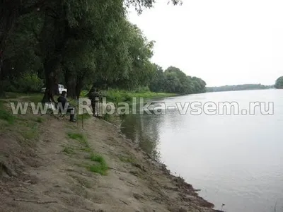 Як ловити мирну рибу в жарку погоду (рибу) Як ловити мирну рибу в жарку погоду