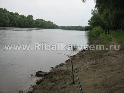 Як ловити мирну рибу в жарку погоду (погоду) Як ловити мирну рибу в жарку погоду