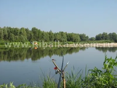 Як ловити мирну рибу в жарку погоду (рибу) Як ловити мирну рибу в жарку погоду
