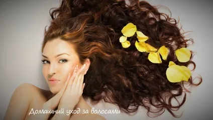 Як лікувати волосся в домашніх умовах відвари для волосся, настоянки, використання ефірних масел для (волосся) Як лікувати волосся в домашніх умовах відвари для волосся, настоянки, використання ефірних масел для