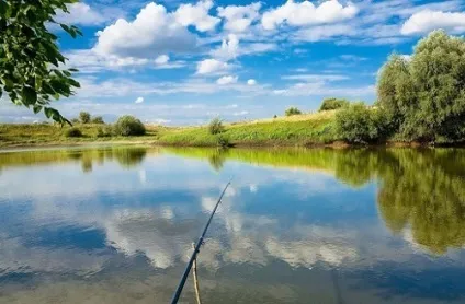 Як ловити коропа в спеку вибір відповідних снастей і наживок (спеку) Як ловити коропа в спеку вибір відповідних снастей і наживок