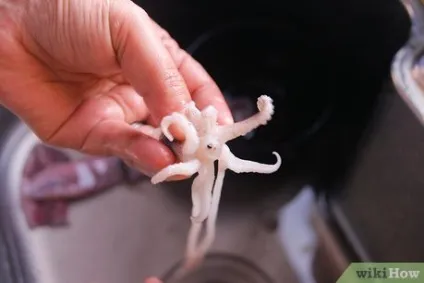 Як маринувати кальмари