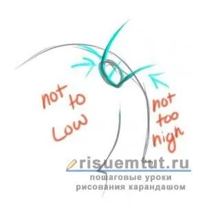 Як намалювати поні з «дружба - це диво» поетапно олівцем - малюємо тут (тварини) Як намалювати поні з «дружба - це диво» поетапно олівцем - малюємо тут