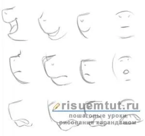 Як намалювати поні з «дружба - це диво» поетапно олівцем - малюємо тут (поні) Як намалювати поні з «дружба - це диво» поетапно олівцем - малюємо тут