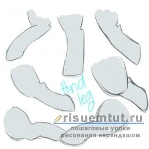 Як намалювати поні з «дружба - це диво» поетапно олівцем - малюємо тут (дружба) Як намалювати поні з «дружба - це диво» поетапно олівцем - малюємо тут
