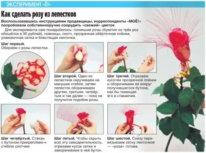 Як нас обманюють продавці квітів - Черкассискій інформаційний портал моє! Online (стебла пелюстки можна) Як нас обманюють продавці квітів - Черкассискій інформаційний портал моє! Online
