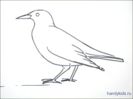 Як намалювати шпака і розмальовку шпак (розфарбування шпак) Як намалювати шпака і розмальовку шпак