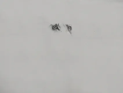 Як намалювати лева поетапно