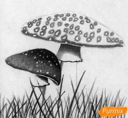 Як намалювати мухомор олівцями і ручкою поетапно (поетапно) Як намалювати мухомор олівцями і ручкою поетапно