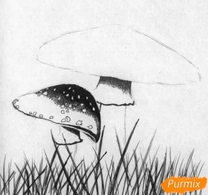 Як намалювати мухомор олівцями і ручкою поетапно (мухомор) Як намалювати мухомор олівцями і ручкою поетапно