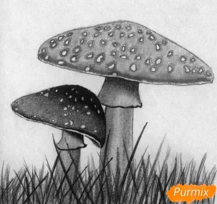 Як намалювати мухомор олівцями і ручкою поетапно (поетапно) Як намалювати мухомор олівцями і ручкою поетапно