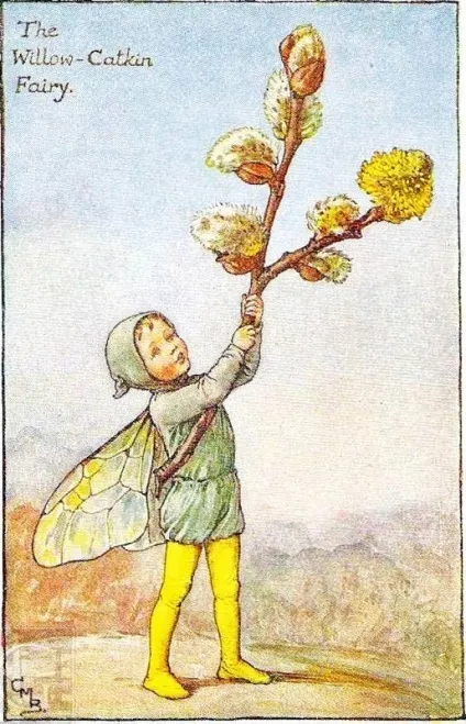 Як намалювати вербу, гілку верби аквареллю поетапно (малювання) Як намалювати вербу, гілку верби аквареллю поетапно
