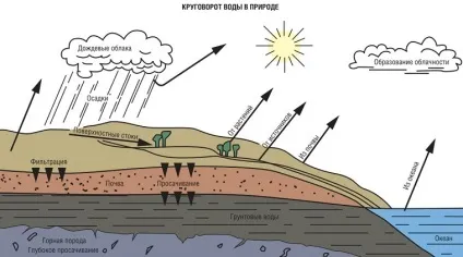 Як утворюються підземні води де знаходяться і які бувають (утворюються) Як утворюються підземні води де знаходяться і які бувають
