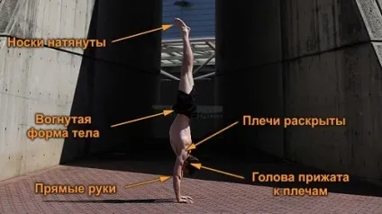 Як навчитися стояти на руках - вправи і підказки (стояти) Як навчитися стояти на руках - вправи і підказки