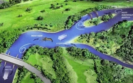 Як знайти щуку в річці (річці) Як знайти щуку в річці