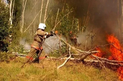 Як забезпечити пожежну безпеку в пожежонебезпечний період (пожежну безпеку) Як забезпечити пожежну безпеку в пожежонебезпечний період